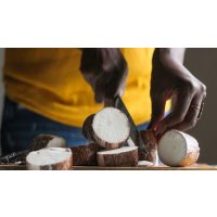 Kongolesischer Kochkurs vegan: Saka Saka