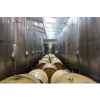 Weinseminar Grundlagen 2 – Aufbau