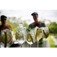 Gin-Tasting Stuttgart – Sommerdrinks