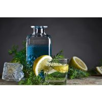 Gin-Tasting Stuttgart Heimatgin die besten Gins