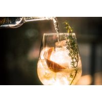 Gin-Tasting Stuttgart – Gin Tonic mit Rosmarin