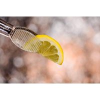 Gin-Tasting Stuttgart – Zitronenscheibe