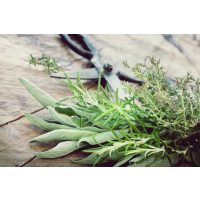 Mediterraner Kochkurs Stuttgart – frische Kräuter 