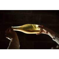 Weinprobe Stuttgart Sekt herstellen
