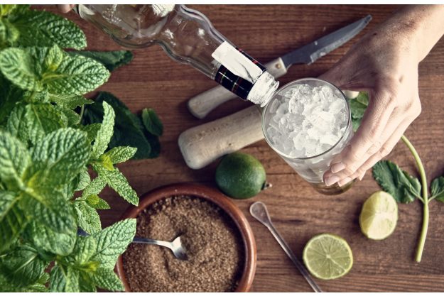 Cocktailkurs Berlin - frischen Mojito mixen
