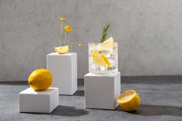 Gin-Tasting Berlin – Gin mit Zitrone