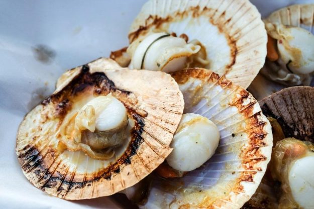 Grillkurs Berlin – gegrillte Jakobsmuscheln