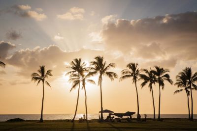 Grillkurs in Berlin Grillen wie in Ozeanien