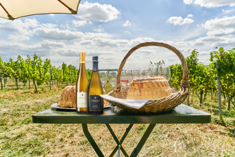 Weinwanderung online mit Essen Picknick im Weinberg@Home