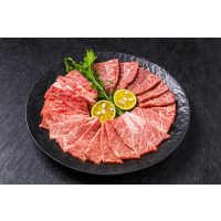 Asiatischer Grillkurs Berlin – Bulgogi