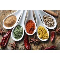 Betriebsausflug Berlin - Team in der Küche