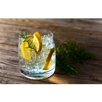 Cocktailkurs Berlin - Gin-Tonic mit Botanicals