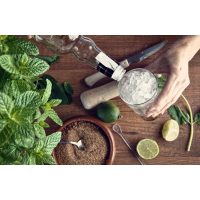 Cocktailkurs Berlin - frischen Mojito mixen
