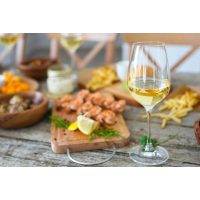 Weinseminar Berlin - Weinrebe