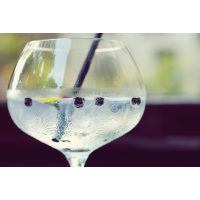 Geschenkidee – Gin-Tastings