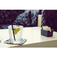 Gin-Tasting Berlin – Klassischer Gin Tonic