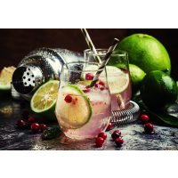 Gin-Tasting Berlin – Bombay Sapphiere Gin mit Cranberry