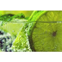 Gin-Tasting Berlin – Hendrick's Gin mit spritziger Limette