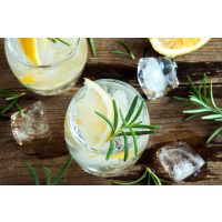 Gin-Tasting Berlin – Gin Tonic mit Rosmarin