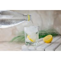 Gin-Tasting Berlin – Gin Tonic