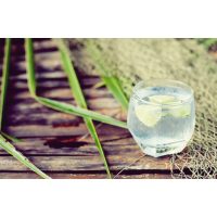 Gin-Tasting Berlin – Gin mit Tonic Water und Limette