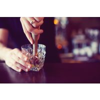 Gin-Tasting Berlin – Mojito mit Gin