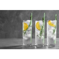 Gin-Tasting Frankfurt-Hofheim der beste Gin