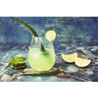 Gin-Tasting-Gutschein – Gin Mare mit Aloe-Vera-Deko