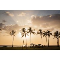 Grillkurs Berlin – Grillen am Strand