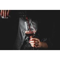 Italienisches Weinseminar Stuttgart – Rotwein