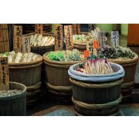 Japanischer Kochkurs Berlin – authentische Zutaten