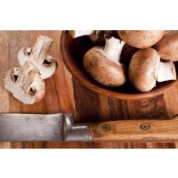 Regionaler Kochkurs Berlin – Waldpilze putzen