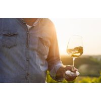 Weinprobe Berlin Wein Frühlingswein