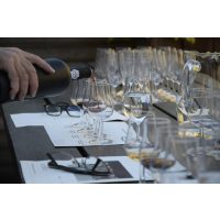 Weinseminar Berlin – Orientierung beim Weintrinken