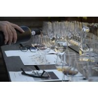 Weinseminar Berlin – willkommen zur Verkostung