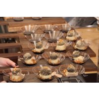 Weinseminar Berlin – feine Vorspeisen