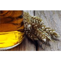 Whisky-Tasting Berlin - Whiskyglas und Gerste