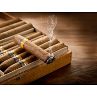 Zigarren-Tasting Berlin – kubanische Zigarre