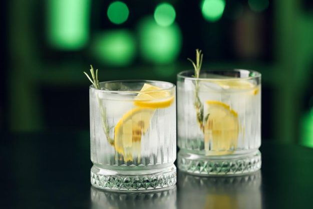 Gin-Tasting Karlsruhe – Gin mit Zitrone