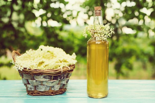 Kräuterwanderung München – Holunderblütensirup