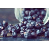 Gin-Tasting-Gutschein – Wacholderbeeren