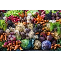 Regionaler Kochkurs Hannover – Gemüse auf dem Bauernmarkt