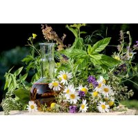 Teambuilding Hannover - Kräuter