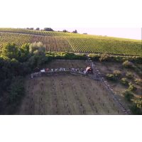 Trüffel Verkostung Würzburg Trüffelplantage