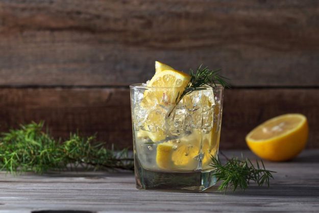 Gin-Tasting Frankfurt-Hofheim  Gin Drinks