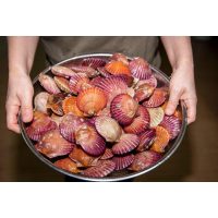 Fisch- und Meeresfrüchte Kochkurs Stuttgart – Jakobsmuscheln