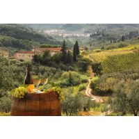 Italienischer Kochkurs Wiesbaden – Weinberge in der Toskana