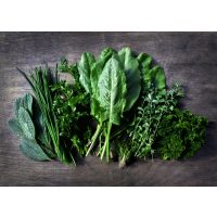 Regionaler Kochkurs Wiesbaden – sieben Kräuter für Grüne Soße