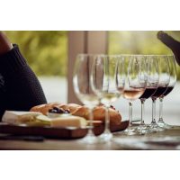 Wein-Seminar Düsseldorf: verschiedene Weine probieren