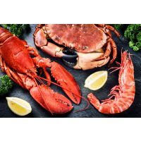 Fisch Kochkurs Wiesbaden Krustentiere